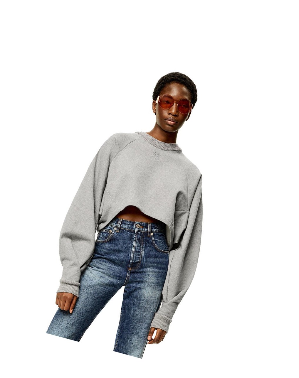 Loewe Anagram cropped sweatshirt in cotton Grise | 0213SLKHZ