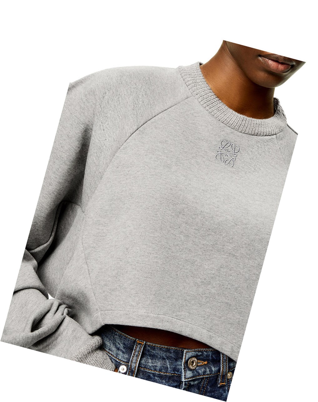 Loewe Anagram cropped sweatshirt in cotton Grise | 0213SLKHZ