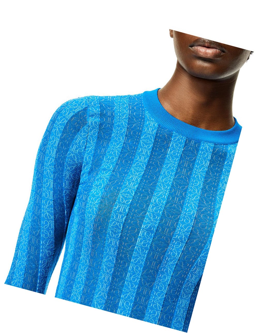 Loewe Anagram devore sweater in viscose Bleu Clair | 9713JECND