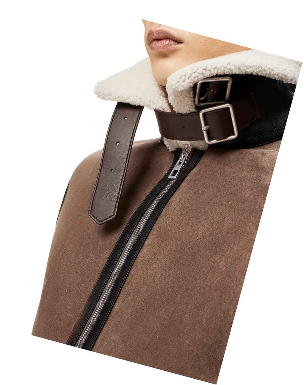 Loewe Aviator jacket in shearling Natural / Taupe | 0357BYVXK