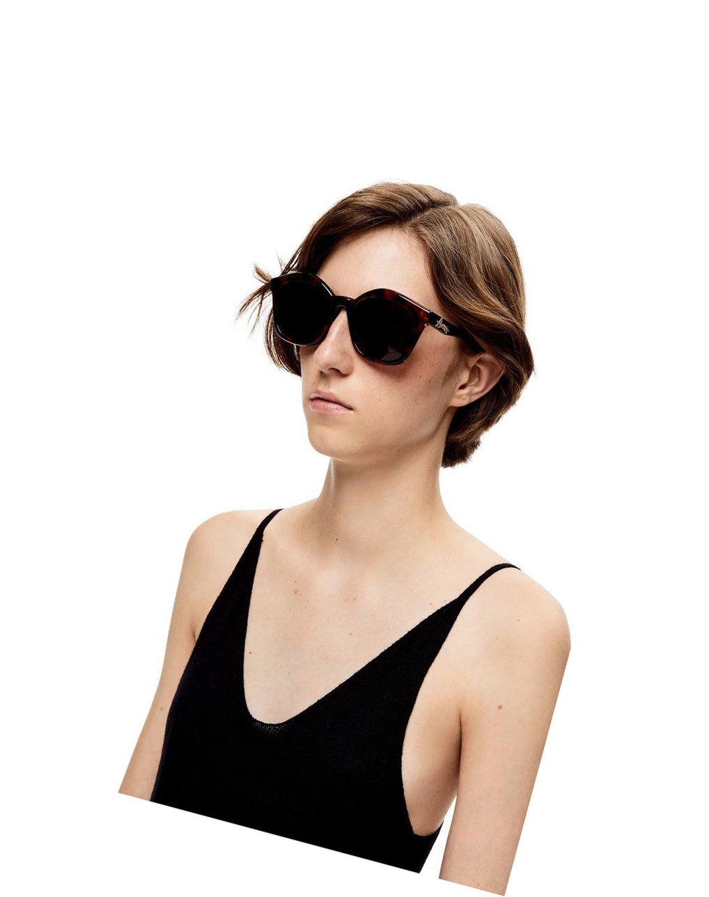 Loewe Browline sunglasses in acetate Shiny Classic Havana | 8623NXSWB