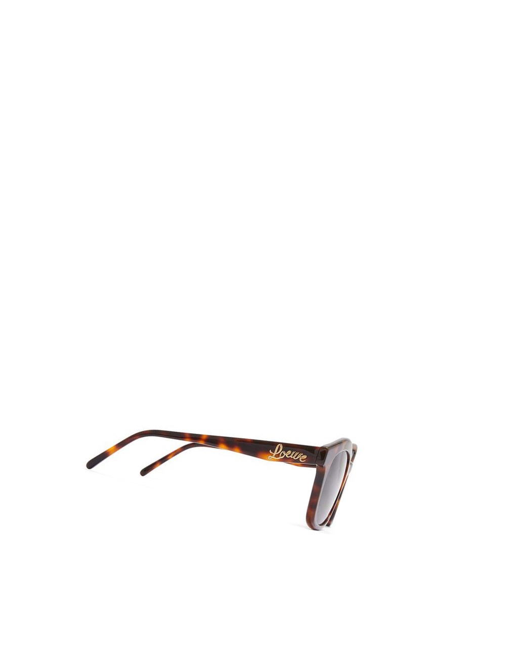 Loewe Browline sunglasses in acetate Shiny Classic Havana | 8623NXSWB