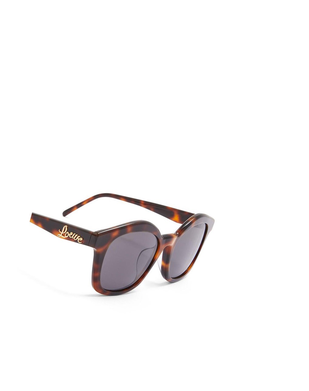 Loewe Browline sunglasses in acetate Shiny Classic Havana | 8623NXSWB