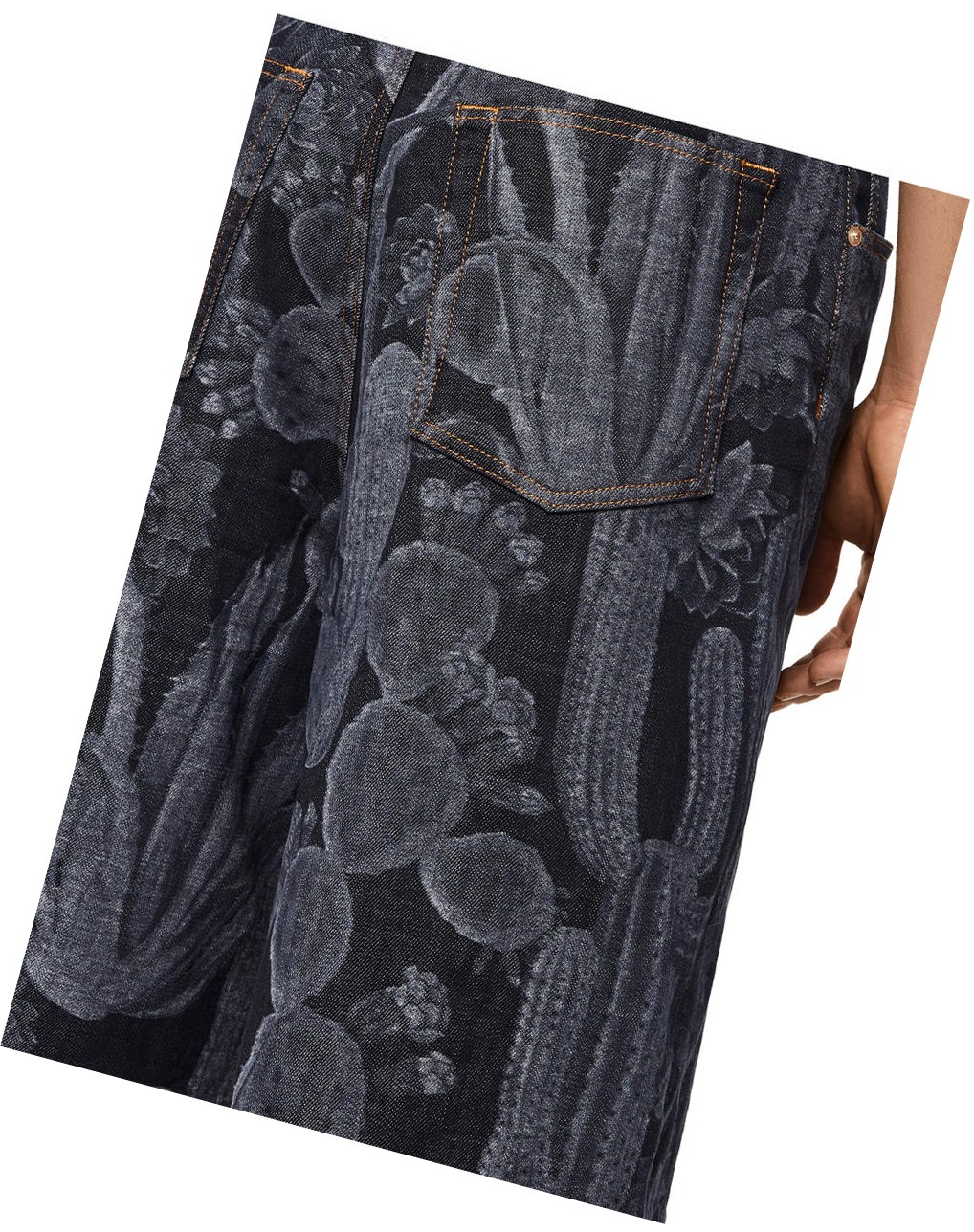 Loewe Cactus print shorts in cotton Noir | 2790HMCWI