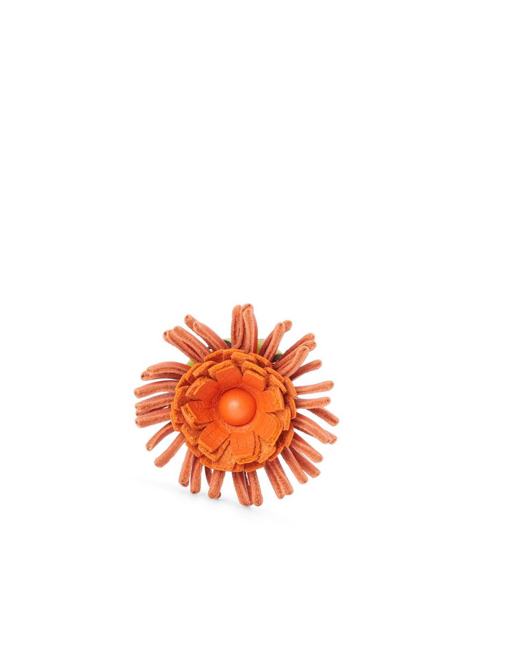 Loewe Cactus stud flower in classic calfskin Vert Corail | 7529JORDM