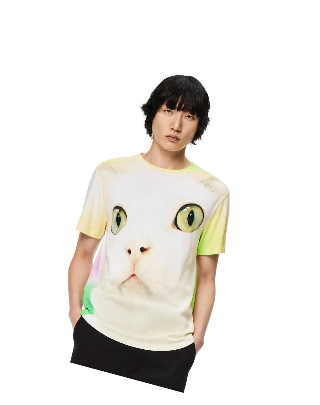 Loewe Cat all-over print T-shirt in cotton Blanche Multicolore | 2617HGNIT