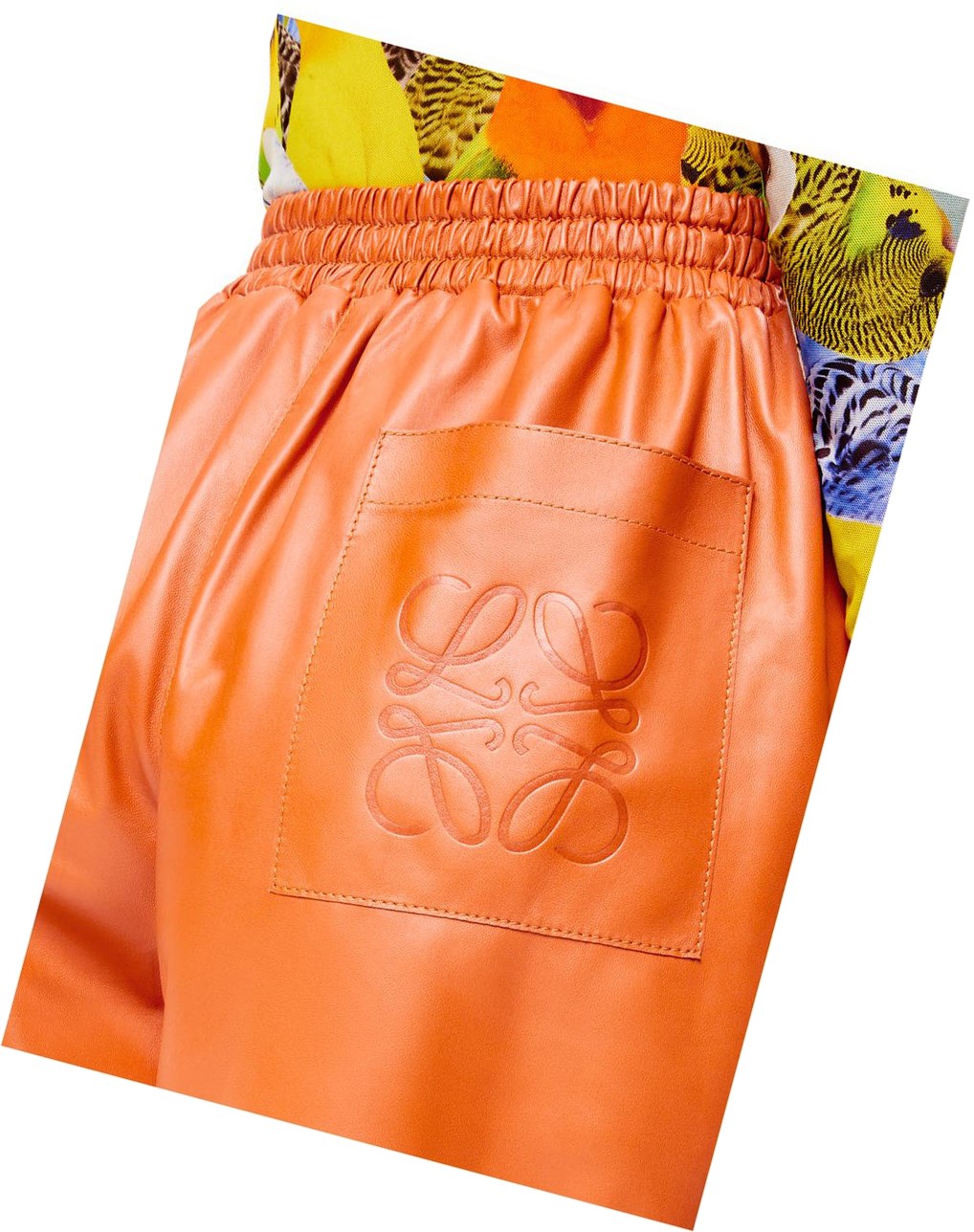 Loewe Cropped trousers in nappa Orange | 2843VDHSI