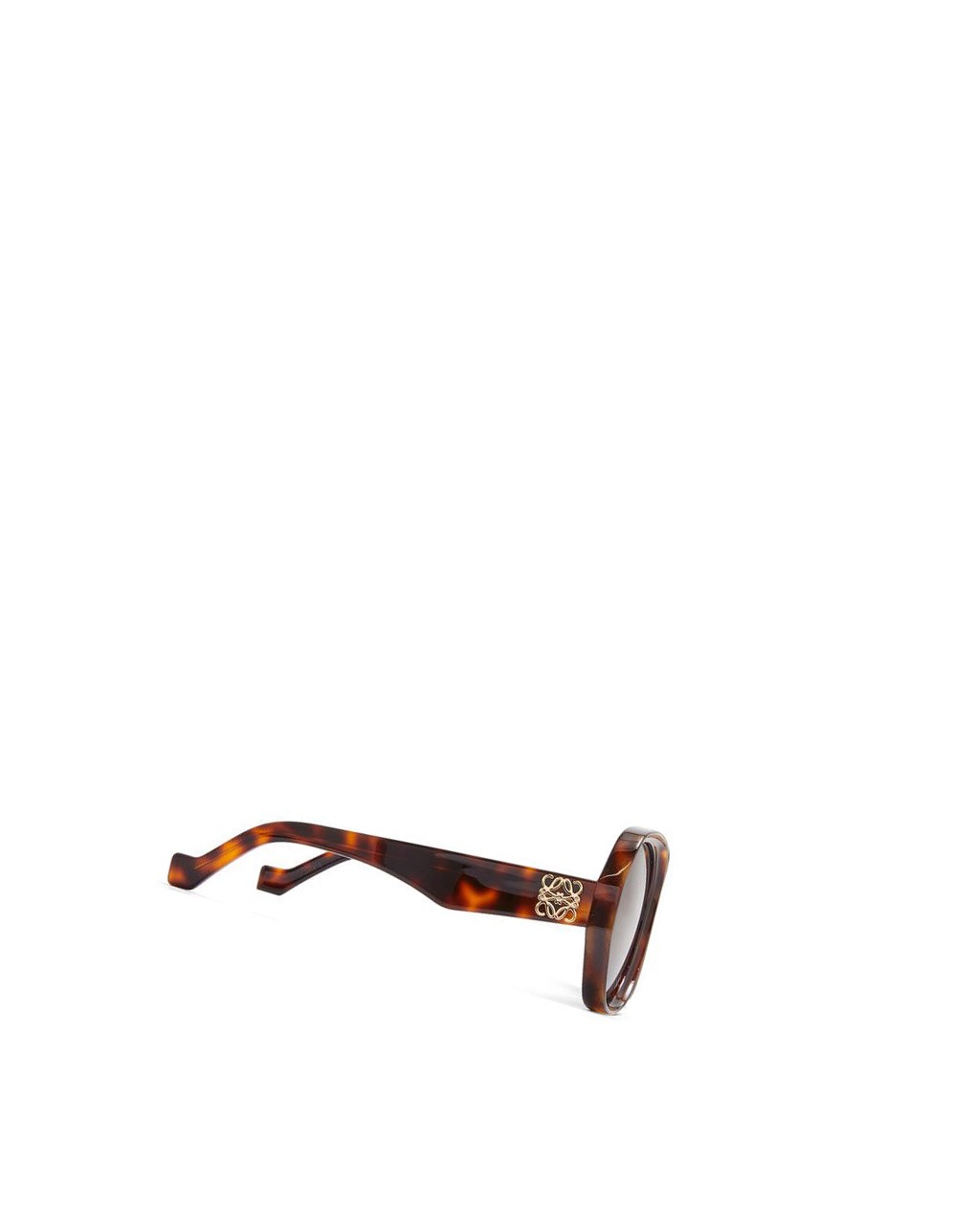 Loewe Elipse sunglasses in acetate Shiny Classic Havana | 4796POCAL