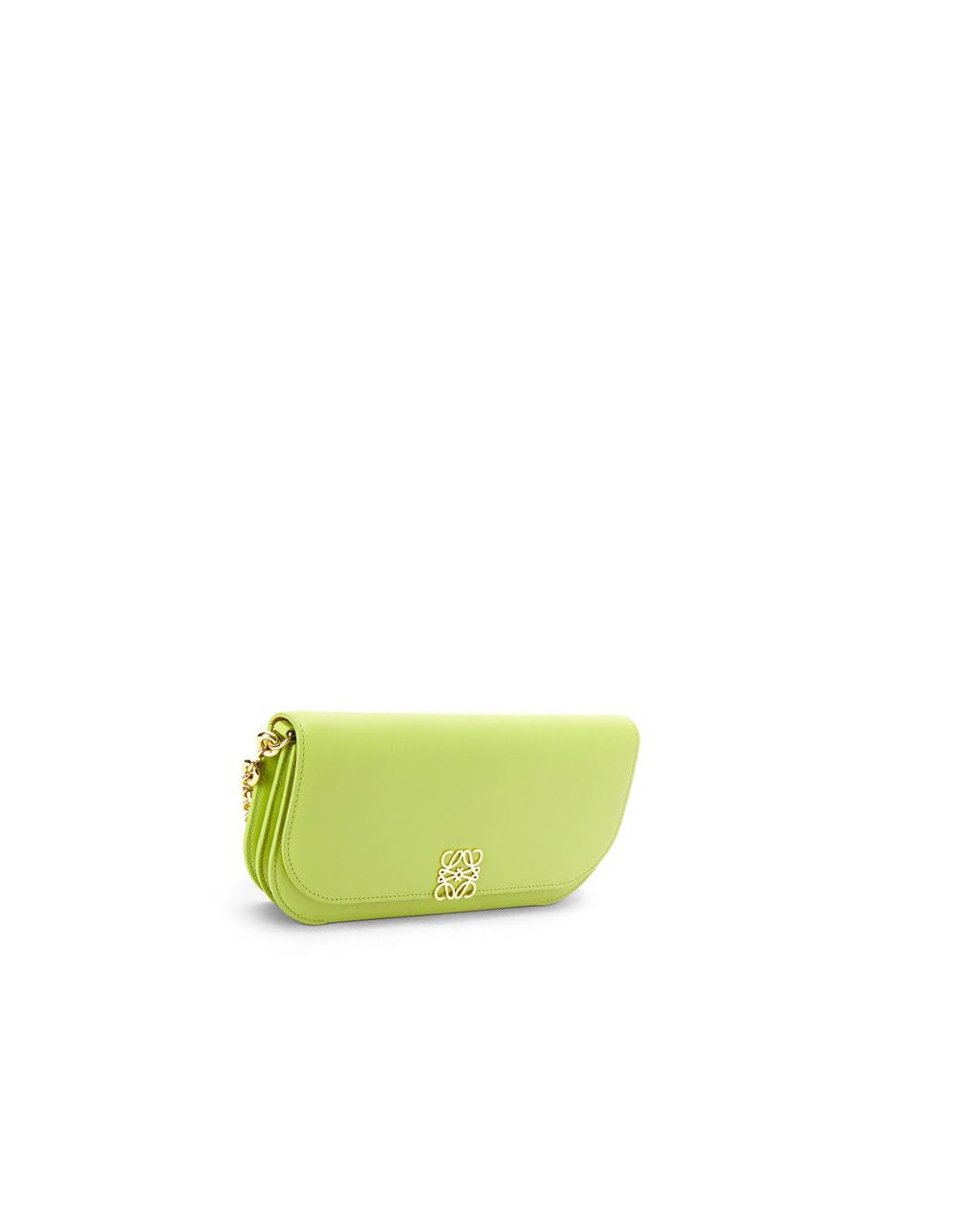 Loewe Goya Long Chain Clutch in silk calfskin Vert | 5194DIYJV