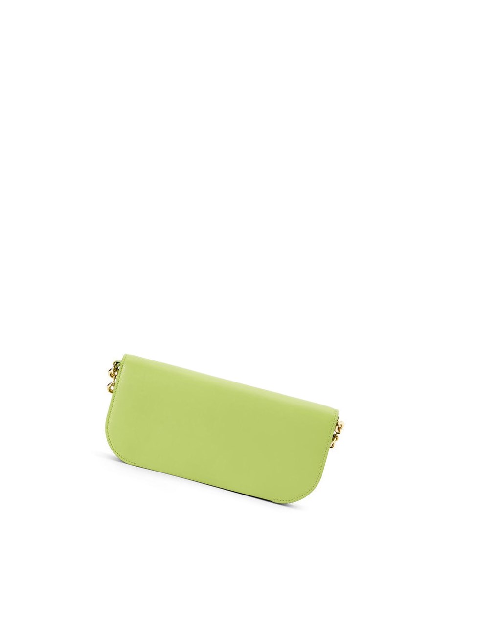 Loewe Goya Long Chain Clutch in silk calfskin Vert | 5194DIYJV