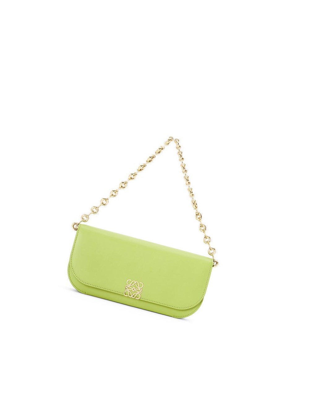 Loewe Goya Long Chain Clutch in silk calfskin Vert | 5194DIYJV