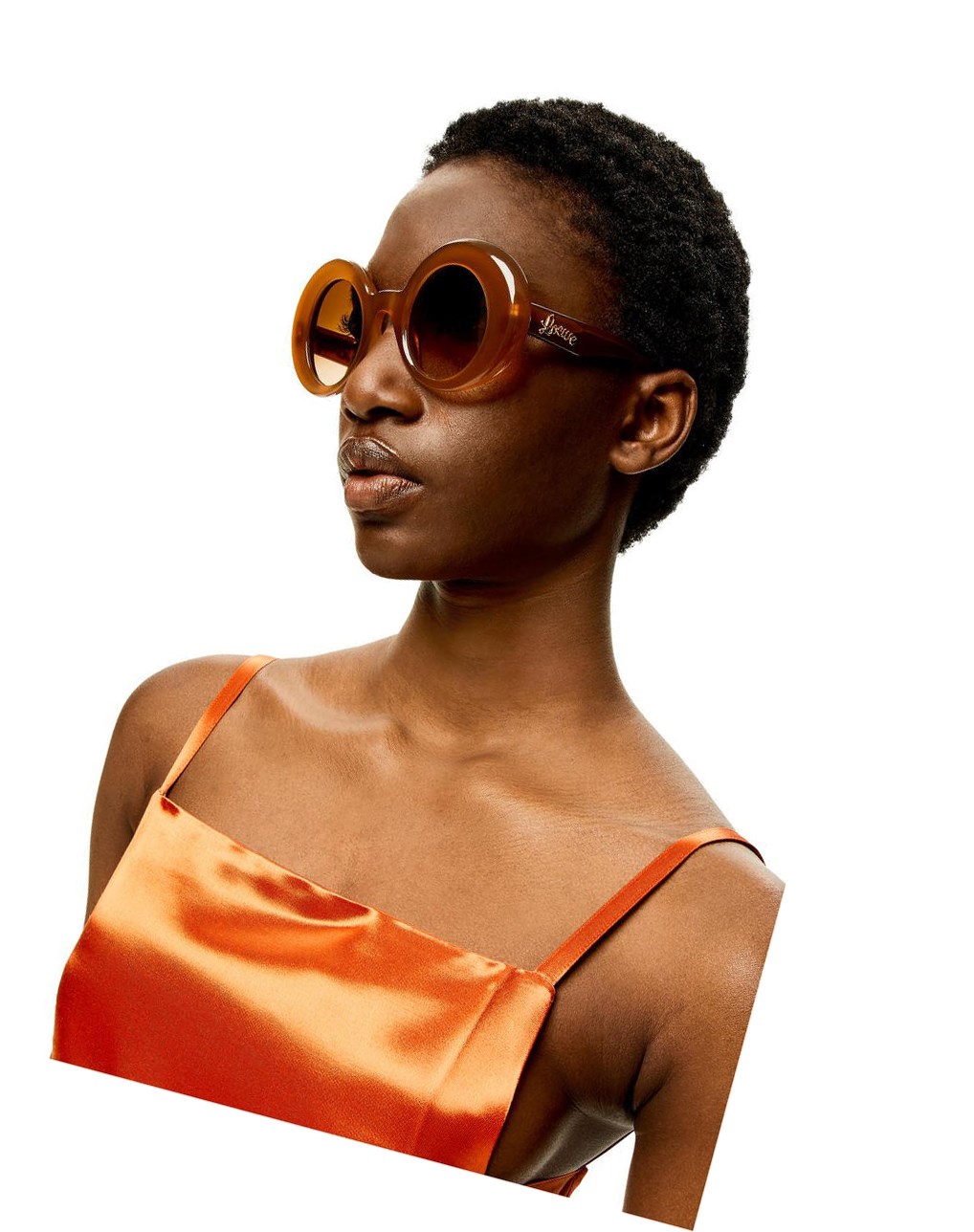 Loewe Oversized round sunglasses in acetate Marron Clair | 0954PCLAS