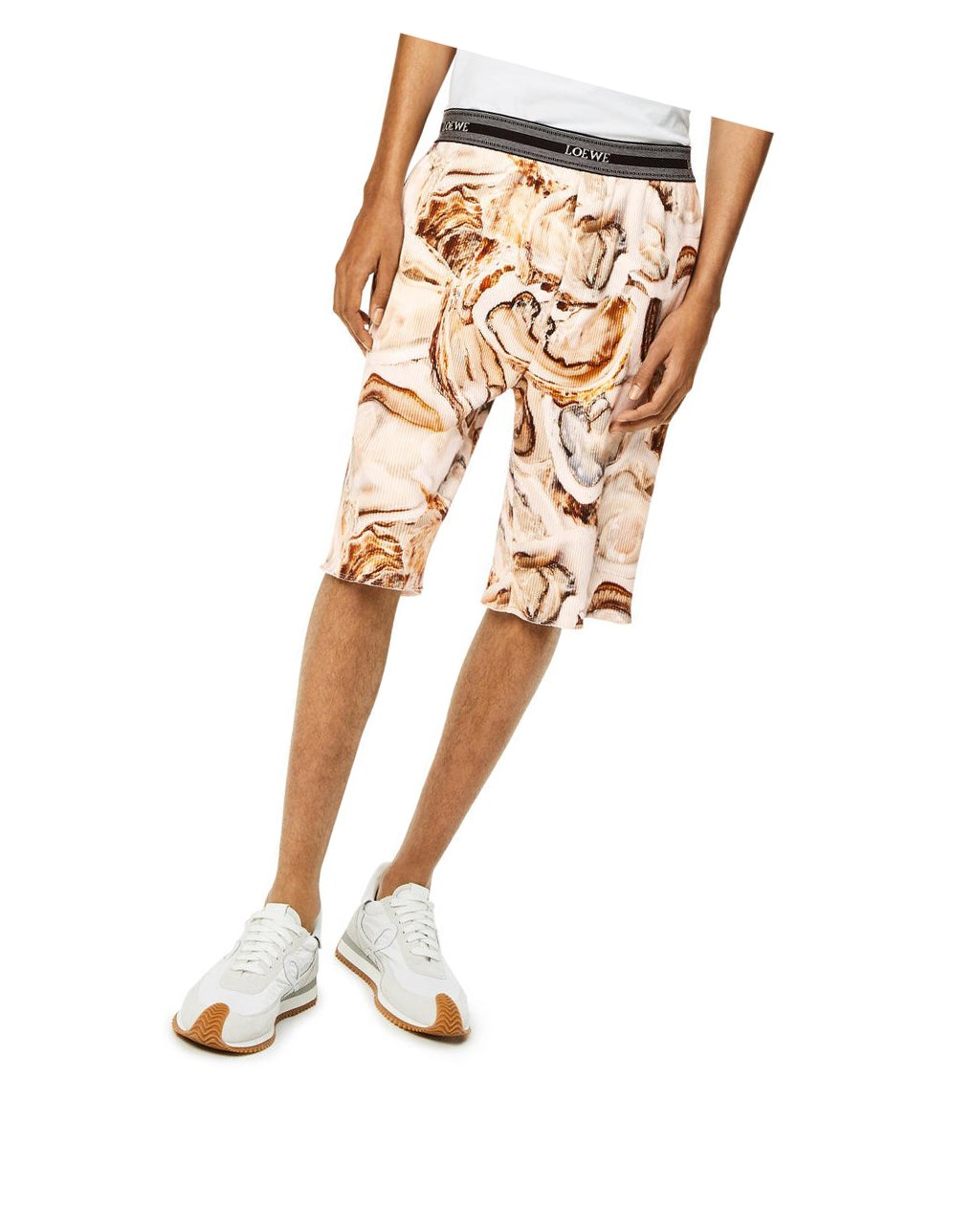 Loewe Oyster ribbed shorts in cotton Beige Clair Multicolore | 3152SVCBY