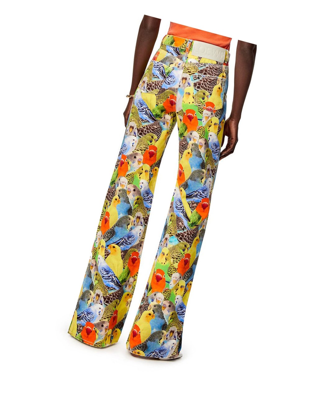 Loewe Parrots jeans in denim Orange Bleu Jaune | 7651VDOWF