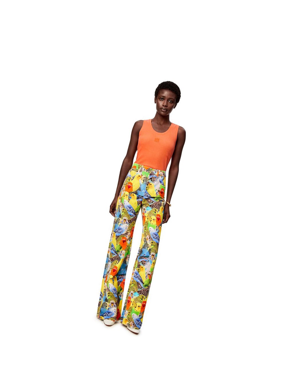 Loewe Parrots jeans in denim Orange Bleu Jaune | 7651VDOWF