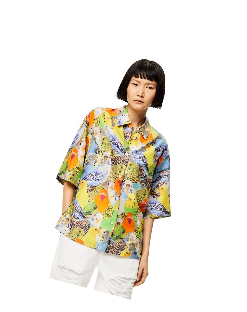 Loewe Parrots print shirt in silk Orange Bleu Jaune | 6082TYHQO