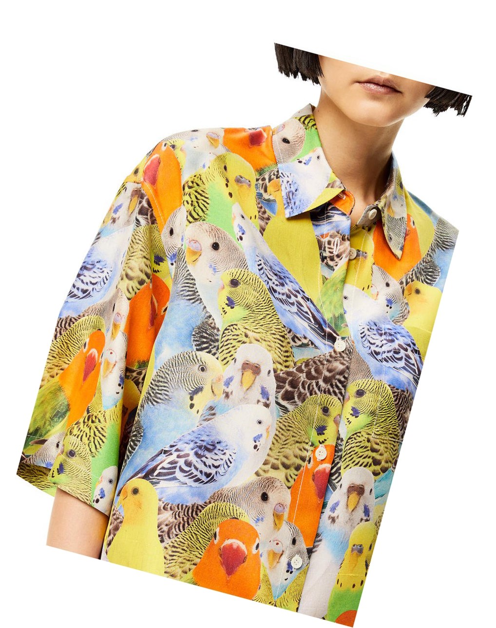 Loewe Parrots print shirt in silk Orange Bleu Jaune | 6082TYHQO