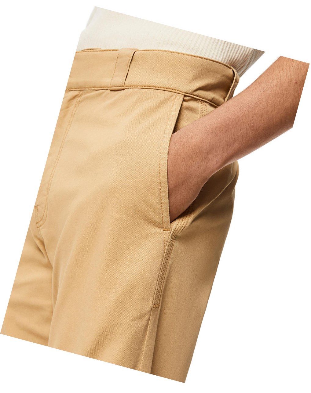 Loewe Straight leg trousers in cotton Beige | 6475QLTJY