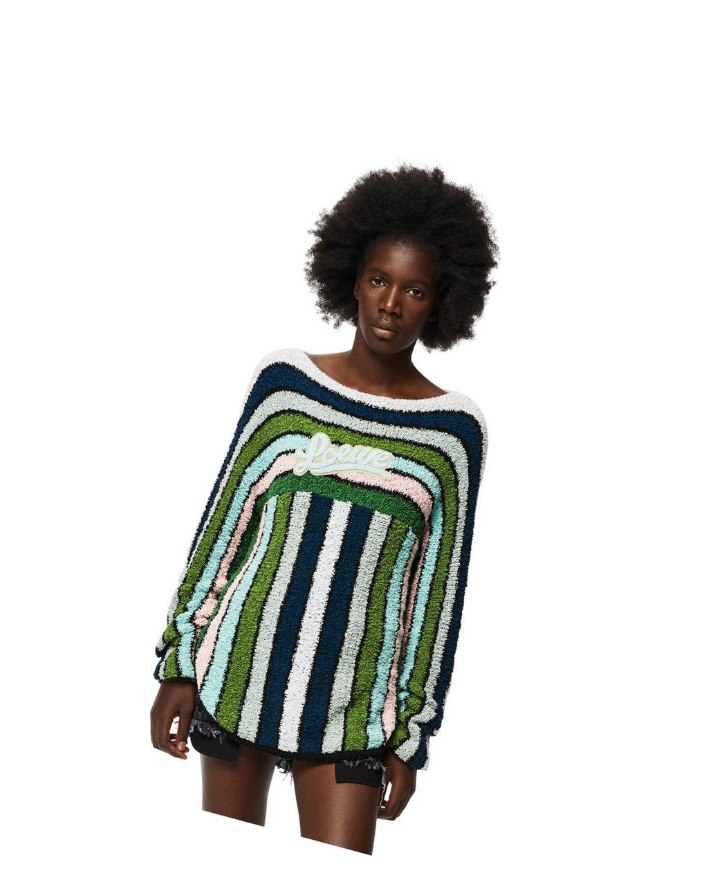 Loewe Stripe embroidered sweater in cotton Vert | 1543RTAXF