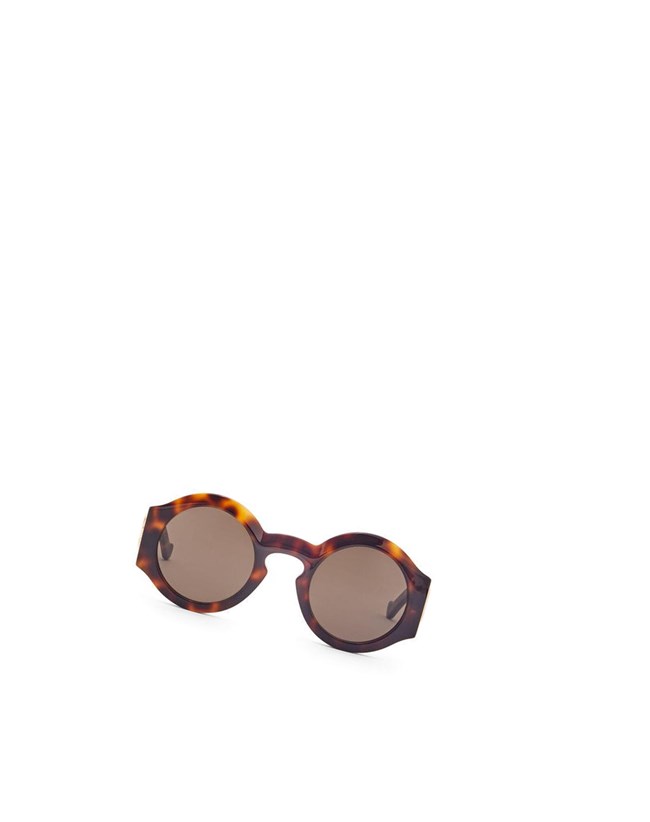 Loewe Curved sunglasses in acetate Shiny Classic Havana | 1769QSTOY
